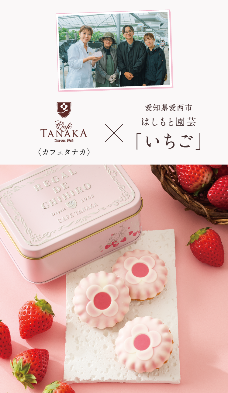 専用　クラブハリエ　カフェタナカ　シェシバタ　アムールデュショコラ　BOX 専用 クラブハリエ カフェタナカ シェシバタ アムールデュショコラ BOX