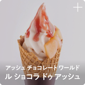 アッシュ チョコレート ワールド ル ショコラ ドゥ アッシュ