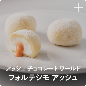 アッシュ チョコレート ワールド フォルテシモ アッシュ