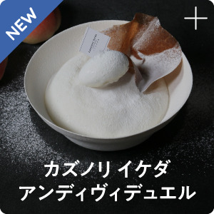 カズノリ イケダ アンディヴィデュエル