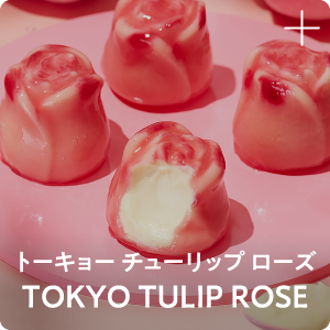 トーキョー チューリップ ローズ TOKYO TULIP ROSE